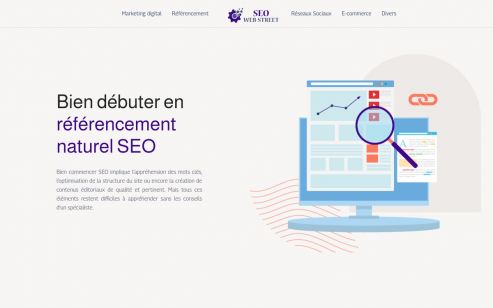 https://www.seowebstreet.fr